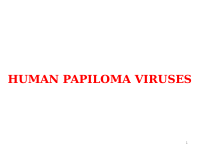 9. HPV.pptx